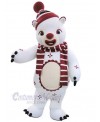 Bear mascot costume