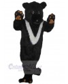 Bear mascot costume