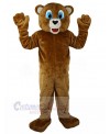 Bear mascot costume