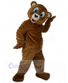 Bear mascot costume
