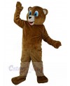 Bear mascot costume