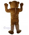 Bear mascot costume
