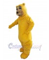 Bear mascot costume