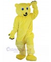 Bear mascot costume