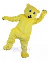 Bear mascot costume