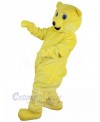 Bear mascot costume