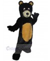 Bear mascot costume