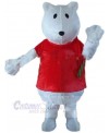 Bear mascot costume