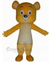 Bear mascot costume
