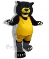 Bear mascot costume