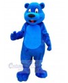 Bear mascot costume