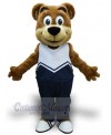 Bear mascot costume