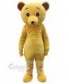 Bear mascot costume