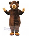 Bear mascot costume