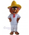 Bear mascot costume