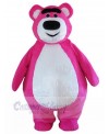 Bear mascot costume