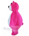 Bear mascot costume