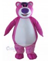 Bear mascot costume