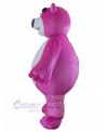 Bear mascot costume