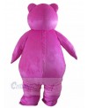 Bear mascot costume