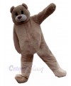 Bear mascot costume