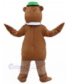 Bear mascot costume
