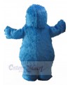 Bear mascot costume