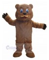 Bear mascot costume