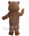 Bear mascot costume