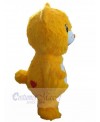 Bear mascot costume