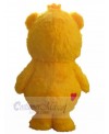 Bear mascot costume