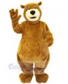 Bear mascot costume