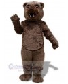 Bear mascot costume