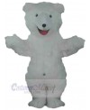 Bear mascot costume