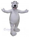 Bear mascot costume