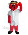 Bear mascot costume