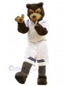 Bear mascot costume