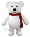 Bear mascot costume