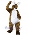 Easter Bunny Rabbit mascot costume