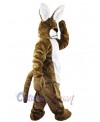 Easter Bunny Rabbit mascot costume