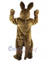 Easter Bunny Rabbit mascot costume