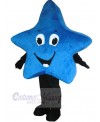 Star mascot costume
