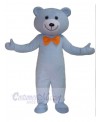 Bear mascot costume