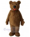 Bear mascot costume