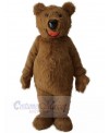 Bear mascot costume