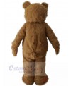 Bear mascot costume