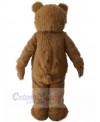 Bear mascot costume