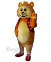 Bear mascot costume