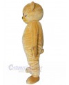 Bear mascot costume