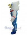 Eagle mascot costume